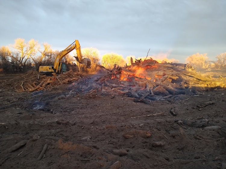 Excavator and fire